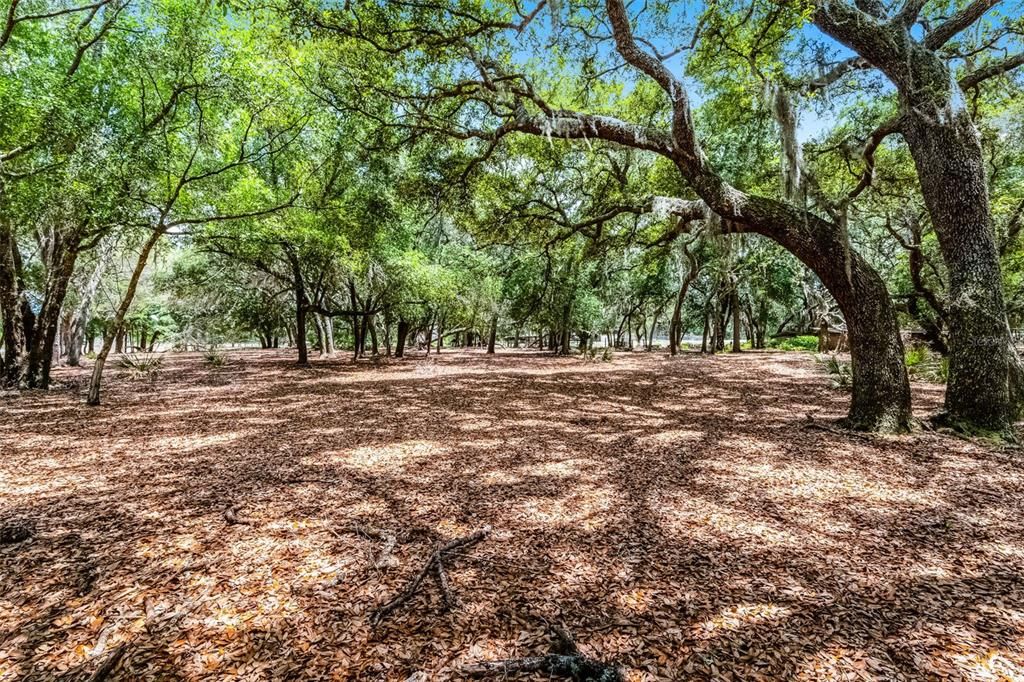 4055 STATE ROAD 11, Deland, FL 32724