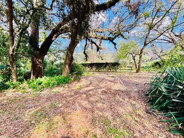 35444 DARLENE DRIVE, Zephyrhills, FL 33541