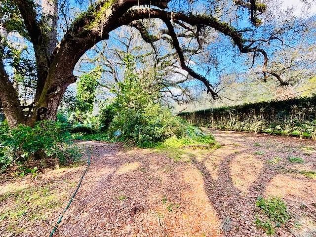 35444 DARLENE DRIVE, Zephyrhills, FL 33541