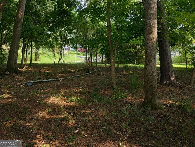10218 Red Bridge Court, Jonesboro, GA 30238