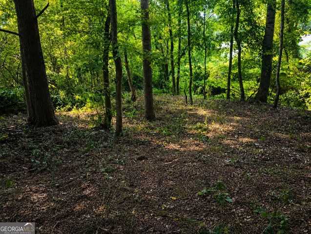 10218 Red Bridge Court, Jonesboro, GA 30238