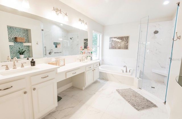 17803 HICKORY MOSS PLACE, Tampa, FL 33647