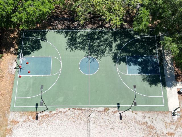 17803 HICKORY MOSS PLACE, Tampa, FL 33647