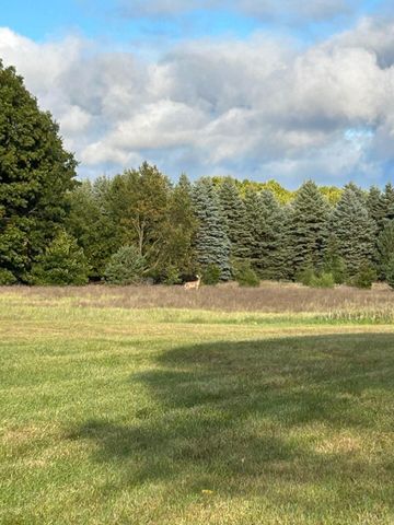 1894 N State Road, Ionia Twp, MI 48846