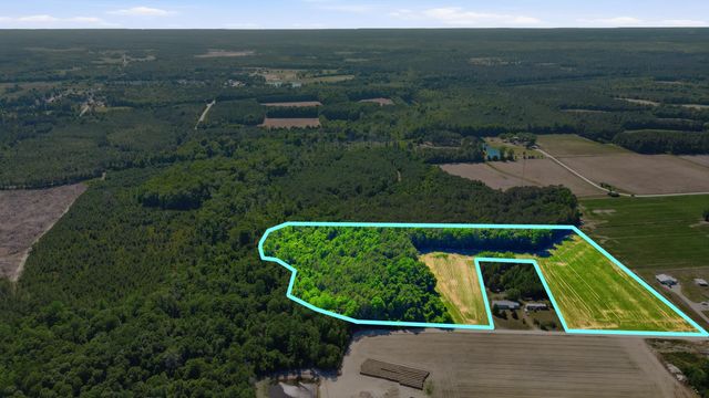 TBD Sandy Ridge Rd., Galivants Ferry, SC 29544