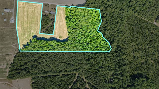 TBD Sandy Ridge Rd., Galivants Ferry, SC 29544