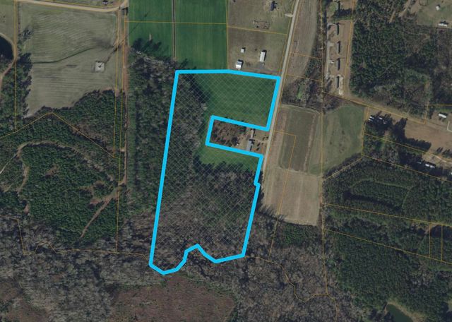 TBD Sandy Ridge Rd., Galivants Ferry, SC 29544