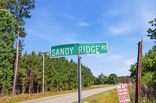TBD Sandy Ridge Rd., Galivants Ferry, SC 29544