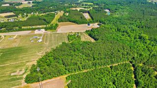 TBD Sandy Ridge Rd., Galivants Ferry, SC 29544
