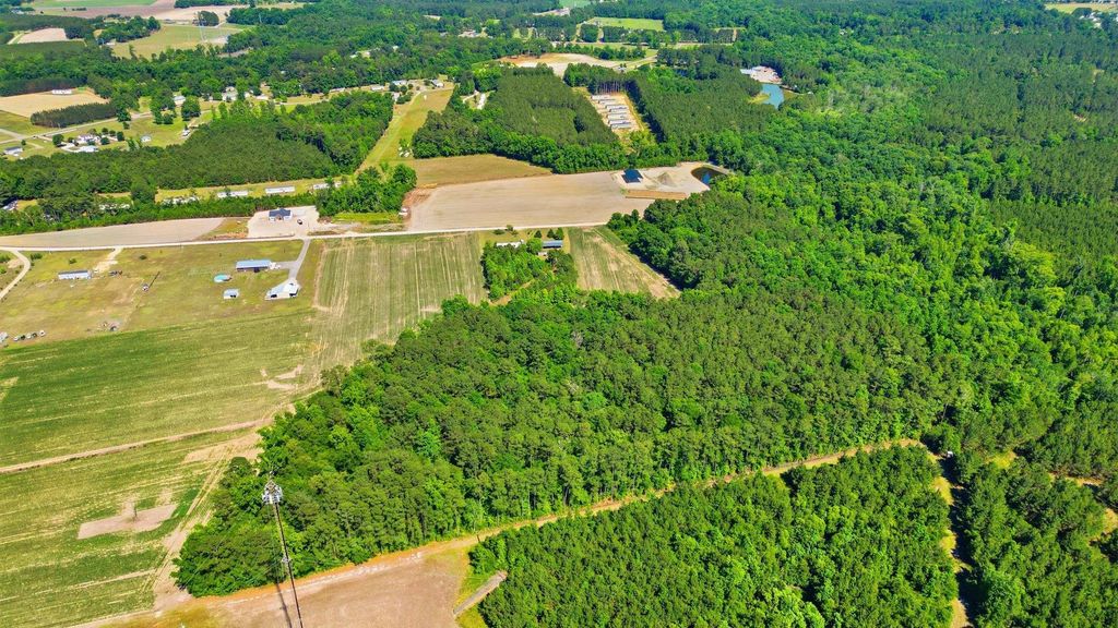 TBD Sandy Ridge Rd., Galivants Ferry, SC 29544