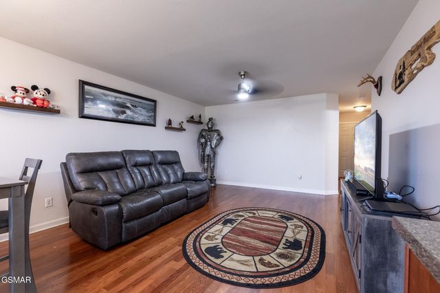 3347 Frontier View Drive, Sevierville, TN 37876