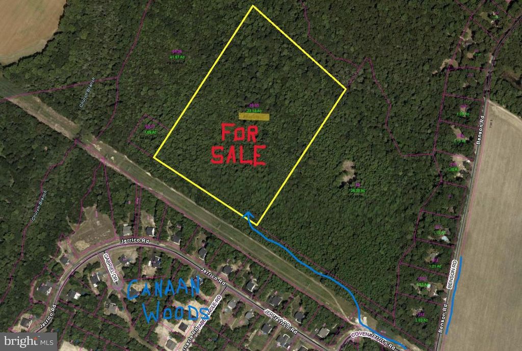 0 BENSON, Lincoln, DE 19960