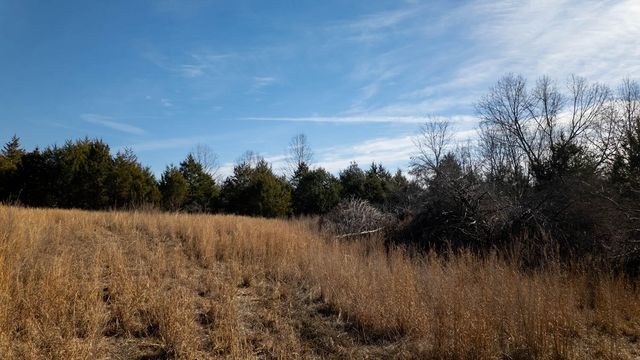 1789 County Road 226, Alton, MO 65606