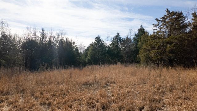 1789 County Road 226, Alton, MO 65606