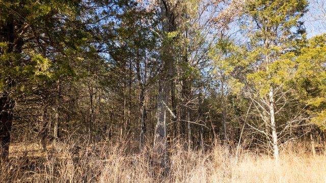 1789 County Road 226, Alton, MO 65606