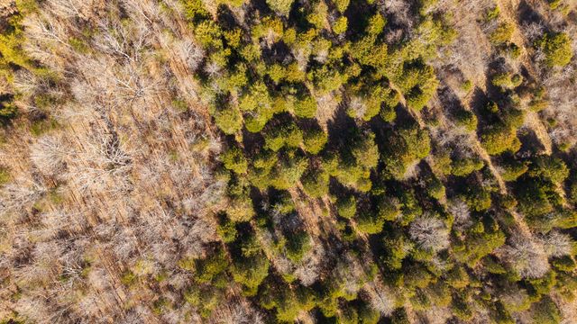 1789 County Road 226, Alton, MO 65606