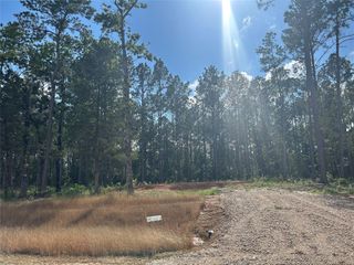 11327 Annie Creek Drive, Willis, TX 77378