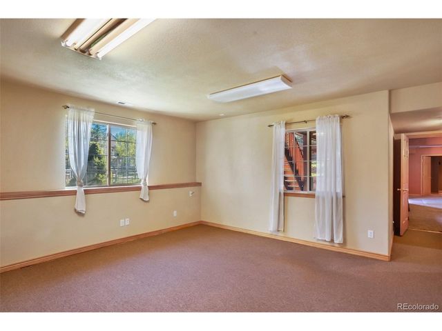 427 Gray Horse Cir, Woodland Park, CO 80863