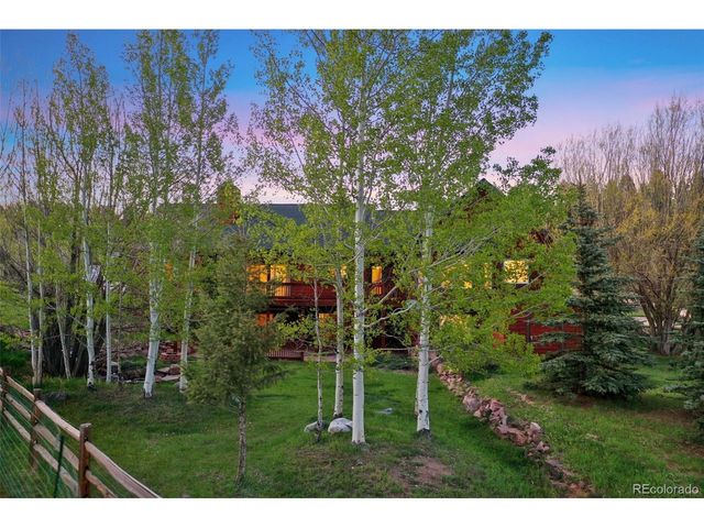 427 Gray Horse Cir, Woodland Park, CO 80863
