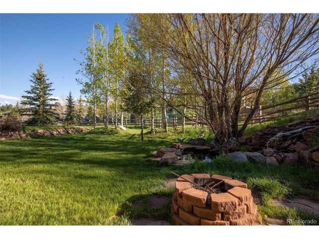 427 Gray Horse Cir, Woodland Park, CO 80863