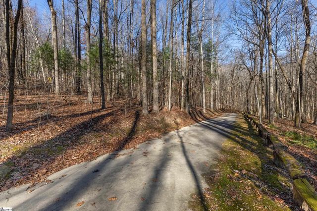 00 Panther Park Trail, Travelers Rest, SC 29690