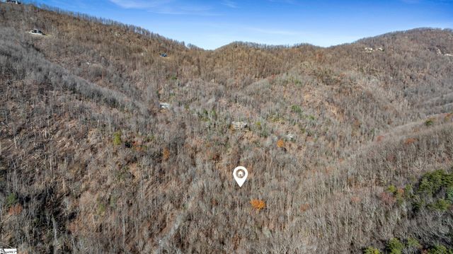 00 Panther Park Trail, Travelers Rest, SC 29690