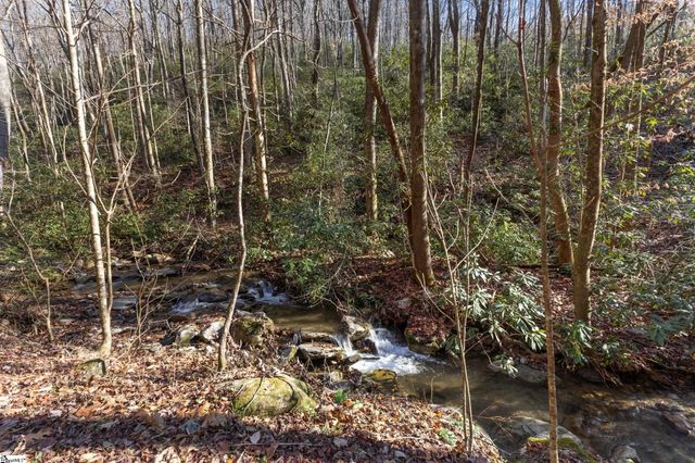 00 Panther Park Trail, Travelers Rest, SC 29690