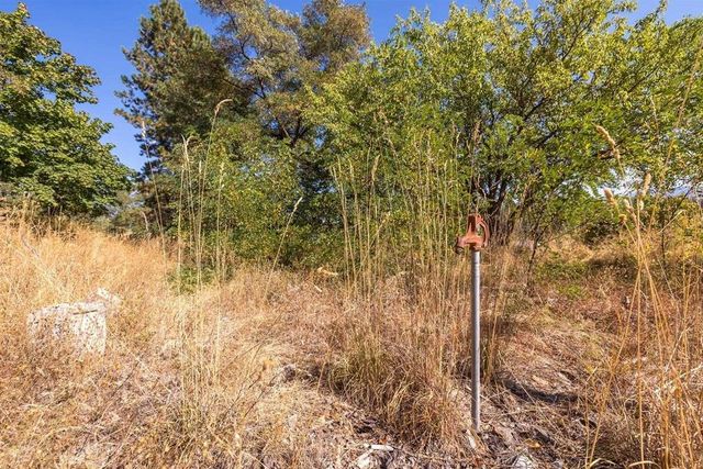 29411 N Dunn Rd, Chattaroy, WA 99003