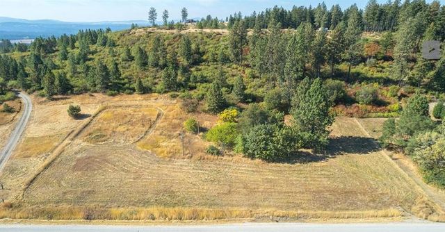 29411 N Dunn Rd, Chattaroy, WA 99003
