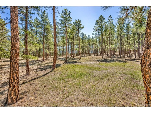 453 Black Fawn Ln, Westcliffe, CO 81252