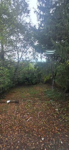 571 Wilson Street, Waterbury, CT 06708