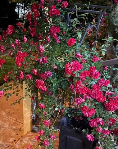 4614 120th Place, Lubbock, TX 79424