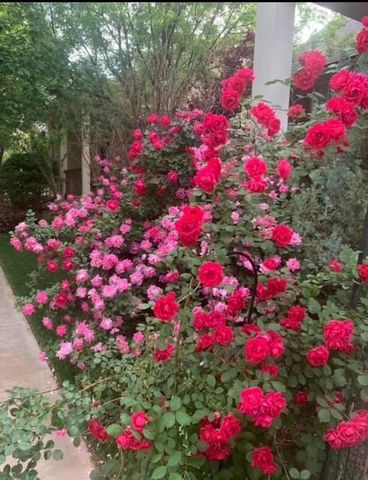 4614 120th Place, Lubbock, TX 79424