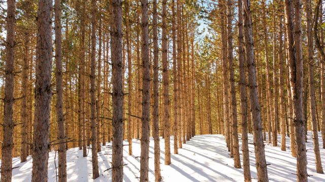 4811 Truax Lake Road, Whitewater Twp, MI 49690