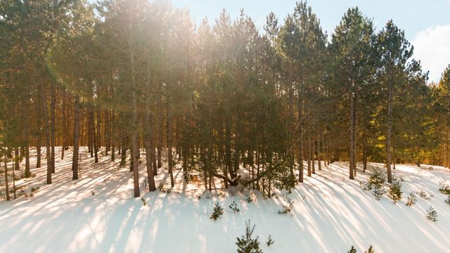 4811 Truax Lake Road, Whitewater Twp, MI 49690