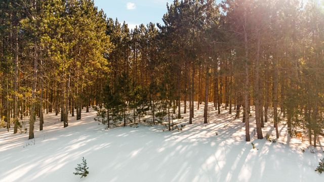 4811 Truax Lake Road, Whitewater Twp, MI 49690