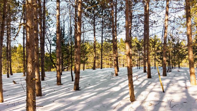 4811 Truax Lake Road, Whitewater Twp, MI 49690