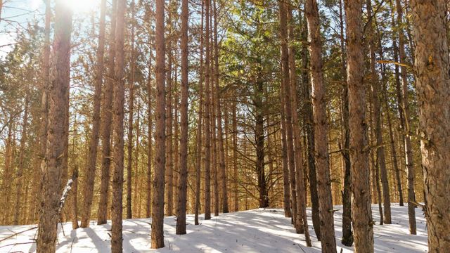 4811 Truax Lake Road, Whitewater Twp, MI 49690