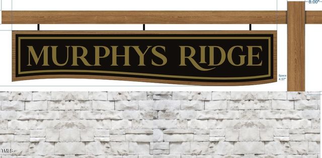 Lot 11 Poppy Mallow Lane, Stem, NC 27581