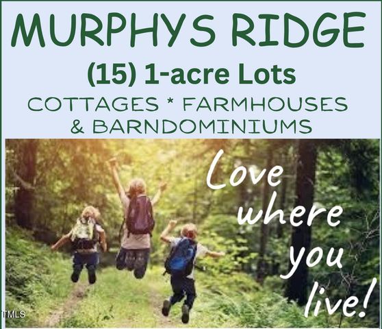 Lot 11 Poppy Mallow Lane, Stem, NC 27581