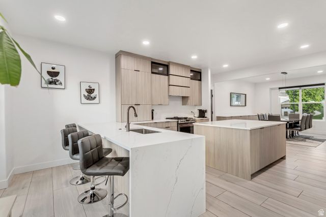 919 E ROCKY MOUTH LN, Draper, UT 84020