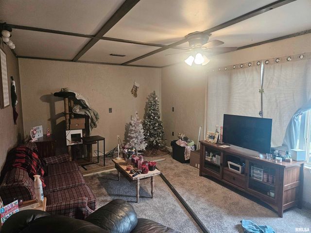 640 GRANT Place, Canton, IL 61520