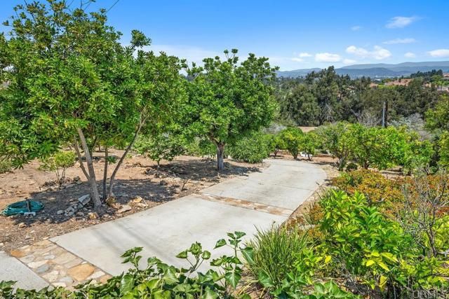 1629 Via Allondra, San Marcos, CA 92078