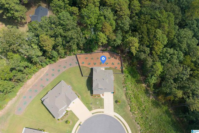 225 ATLANTIC LANE, Birmingham, AL 35242