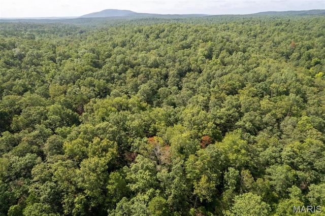 2168 State Hwy 49, Piedmont, MO 63957