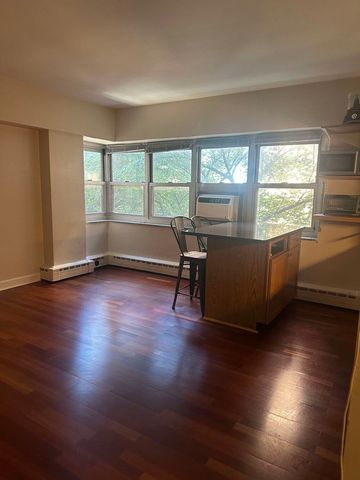 4970 N Marine Drive 528, Chicago, IL 60640