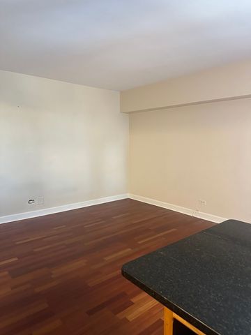 4970 N Marine Drive 528, Chicago, IL 60640