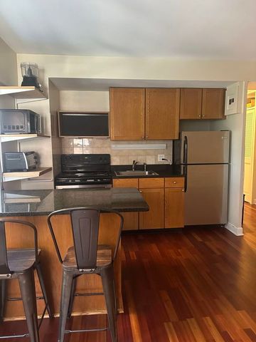4970 N Marine Drive 528, Chicago, IL 60640
