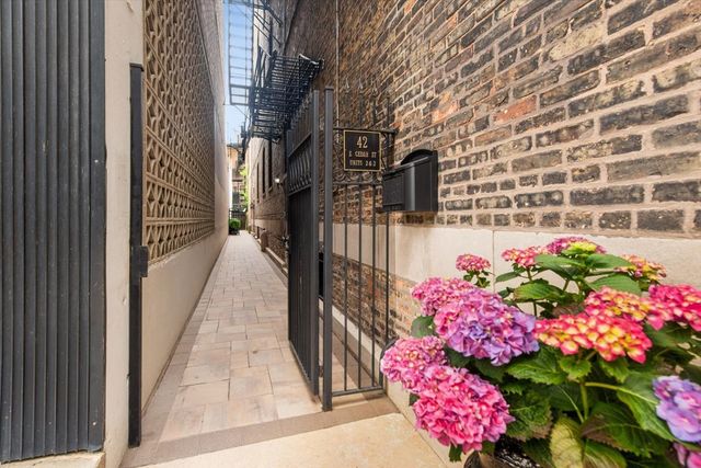 42 E CEDAR Street 3, Chicago, IL 60611