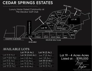Lot 19 Cedar Springs Drive, Decatur, TX 76234